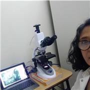 Profesor particular online de Biología